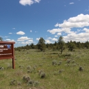 A sign is shown on the edge of a green field and trees under blue skies with white clouds.