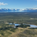 aerial view of wetlands and forest with mountains in the background