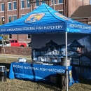 outdoor display tent with matching table cloth for the hatchery