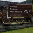 Norfork National Fish Hatchery Entrance Sign