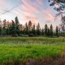 A wetland at Turnbull NWR during sunset