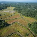 Aerial view of a saltmarsh with meandering channel
