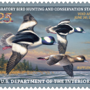 2026-2027 Federal Duck Stamp by James Hautman