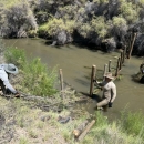 Three YCC staff building a weir at Stillwater NWR across a stream with flowing water waistline high.