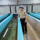 USFWS employee feeding in tank room