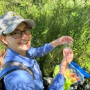 Kaitlyn Kelly releases a Mitchell's Satyr butterfly