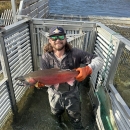 A person wearing chest waders and gloves holds a salmon up and smiles while standing in an enclosed river wier.