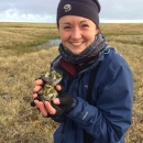 Woman in blue jacket and black hat with grey scarf holding two shorebirds chicks with brown and white plumage