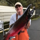 A man wearing a gray t shirt and orange waders and a ball cap smiles while holding up a large fish