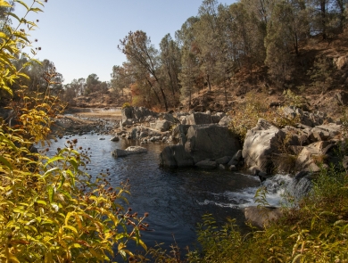 A creek with a small waterfall