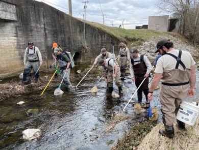 Biologists from the Service and State search for the Yoknapatawpha darter in Smith Creek in Calhoun County, Mississippi, on February 1, 2022.