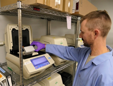 Staff member uses PCR to process eDNA samples