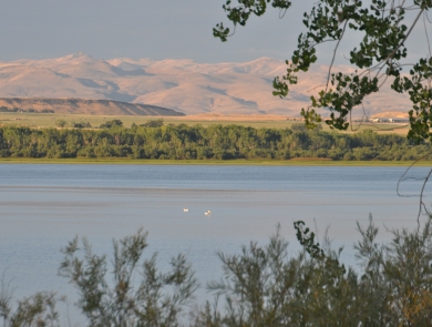 Two distant pelicans in the center of a lake with small mountain formations in the background