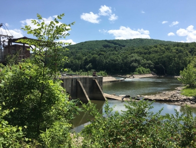 Cement dam in water surrounded by trees