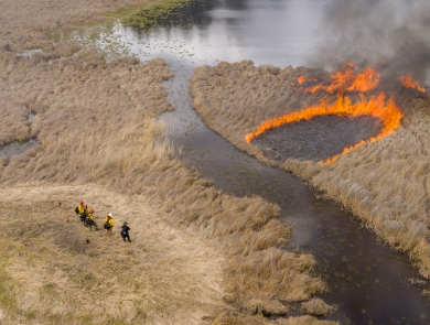 Four firefighters observe a prescribed burn in a wetland