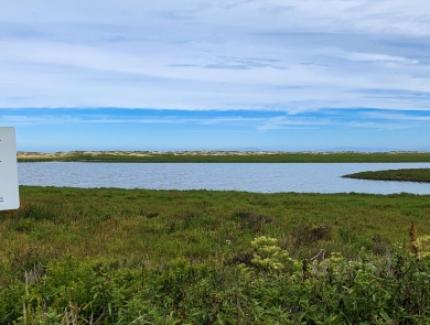 A National Wildlife Refuge sign with a blue goose stands before a field of low-growing plants with a large wetland beyond. In the distance sand dunes are on the horizon beneath a blue sky.