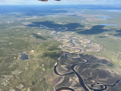 aerial view of rivers and forests