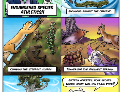 A six-panel comic strip featuring animals that are competing in the Endangered Species Athletics. 