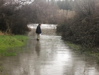 man standing on a flooded road