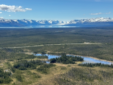 aerial view of wetlands and forest with mountains in the background