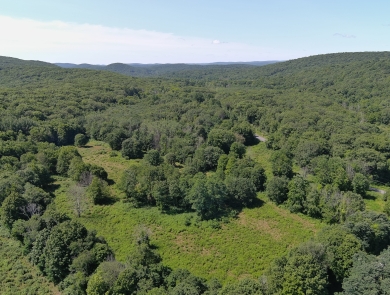 an expanse of green forest and fields, with blue sky and clouds