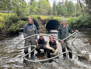 4 people sanding downstream of undersized road culverts in a stream holding a big metal fish