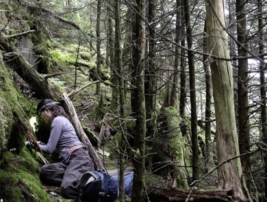 Biologist seated on the forest floor, closely examining a rock face