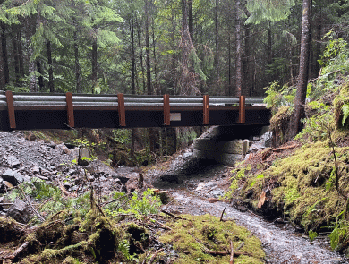 a bridge over a wooded creek