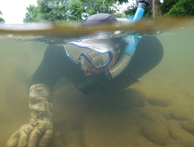 Snorkeling swimming along the bottom of a shallow river