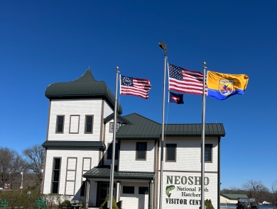 2 U.S. flags, USFWS flag, fish pennant on flagpoles in front of fancy, old-timey building with sign “Neosho National Fish Hatchery Visitor Center”