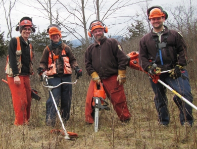 Four people looking at the camera holding field tools to restore habitat with dense shrubs and trees behind them. The people are wearing orange hard hats and earmuffs.