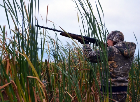 Woman dressed warmly in camouflage and standing in marsh reeds aims a shotgun into the air