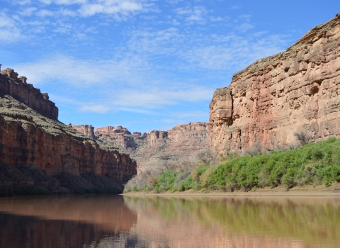A flat, silty river, running through large sandy colored canyon walls. A large bank of willows is on the right hand side.