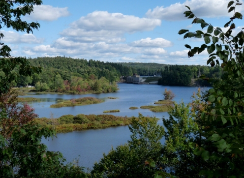 A view over a portion of a river surrounded by lush greenery with a blue sky in the background