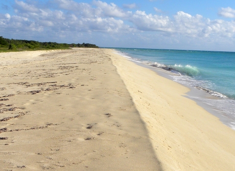 From left to right: green beach vegetation, a stretch of white sand beach, and deep blue Caribbean waters