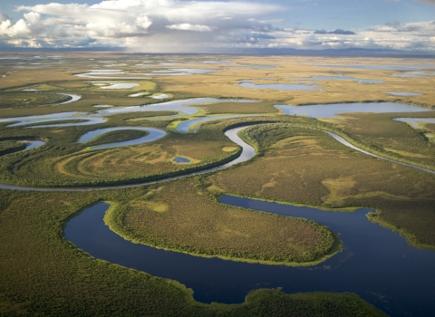 wetlands sprawl out across the landscape from above