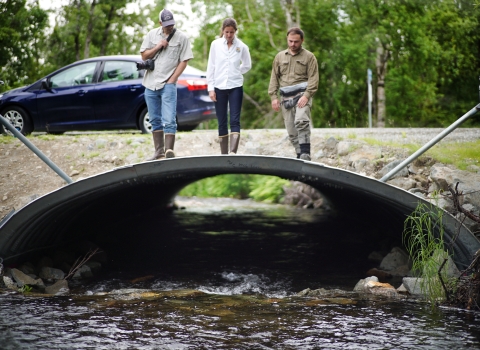 An open-bottom culvert-- a structure under a road-- allows fish passage at Cottonwood Creek in Wasilla, Alaska.
