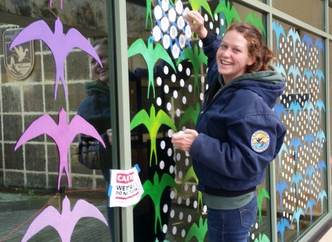 a woman paints a large window with colorful bird shapes