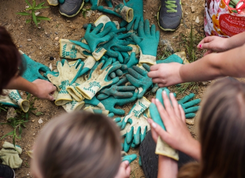 Numerous people reaching toward a pile of gardening gloves