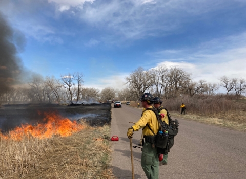 Two firefighters standing on a road watching a fire burn through grassland