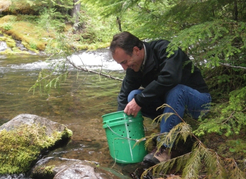 USFWS employee releasing juvenile bull trout into Pinhead Creek