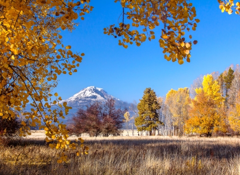 Fall On Conboy Lake National Wildlife Refuge