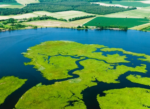 Nanticoke River with wetlands on one side of the river and farmlands on the other side