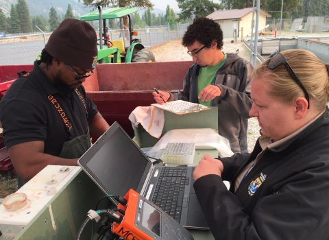 Three biologists work as a team to collect data at a hatchery.