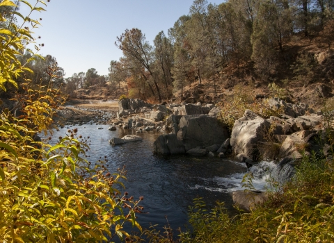 A creek with a small waterfall