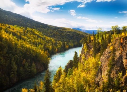 river flowing through a valley with blue sky above