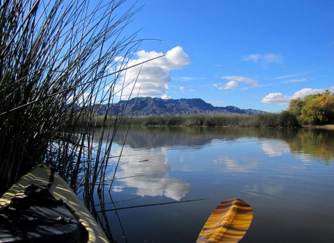 Waterway view at Bill Williams River Refuge