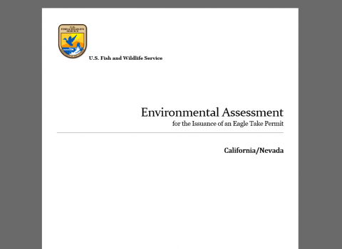 Screenshot of a title page of a generic environmental assessment for issuance of an eagle take permit