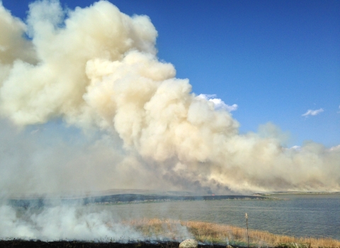 A large smoke plume from a controlled prairie burn with a wetland in the foreground