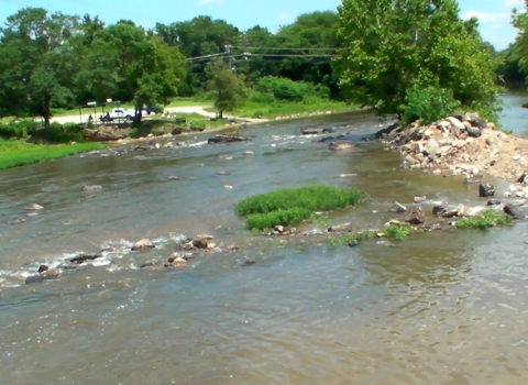 Appomattox River after Harvell Dam removed.